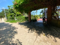 Nhỉnh 3 tỷ 1400m2 đất Sơn Đông Sơn Tây đường rộng 2 ô tô tránh làm ngh Nhỉnh 3 tỷ 1400m2 đất Sơn Đông Sơn Tây đường rộng 2 ô tô tránh làm ngh
