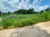 Bán 422m2 đất Thụy An Ba Vì, cách hồ Suối Hai 150m view thoáng MT 12m Bán 422m2 đất Thụy An Ba Vì, cách hồ Suối Hai 150m view thoáng MT 12m