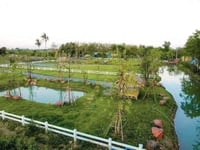 Đất vườn huyện củ chi- tp hcm 500-1000m2 Đất vườn huyện củ chi- tp hcm 500-1000m2