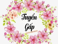 Tuyển 4 nhân viên bán hàng, tu vấn sản phẩm Tuyển 4 nhân viên bán hàng, tu vấn sản phẩm