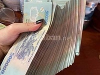 Mini shop cần gấp nam nữ phổ thông bán hàng tiêu dùng thời vụ😁😁 Mini shop cần gấp nam nữ phổ thông bán hàng tiêu dùng thời vụ😁😁