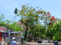 Nhà nằm ơ vị trí gần trung tâm khu phố yên tĩnh đẹp thoáng mát Nhà nằm ơ vị trí gần trung tâm khu phố yên tĩnh đẹp thoáng mát