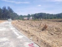 Đồng phú lô 1100m2 chỉ 550tr lô sổ sẳn vay ngân hàng luôn Đồng phú lô 1100m2 chỉ 550tr lô sổ sẳn vay ngân hàng luôn