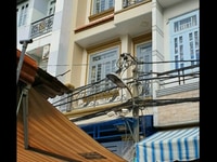 Nhà 4x15, đúc 3 lầu Hẻm 594/ Hương Lộ 2, BTĐ, QBình Tân Nhà 4x15, đúc 3 lầu Hẻm 594/ Hương Lộ 2, BTĐ, QBình Tân