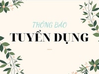 Tại siêu thị mini cần 04 bạn đang cần việc làm ổn định Tại siêu thị mini cần 04 bạn đang cần việc làm ổn định