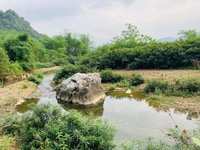 Đất ngộp đón đầu tư sinh lời cao. Đất ngộp đón đầu tư sinh lời cao.
