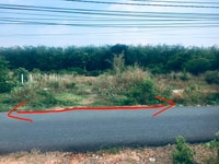 Cần bán 1.632m2 đường nhựa Bàu Lách, xã Phạm Văn Cội H. Củ Chi Cần bán 1.632m2 đường nhựa Bàu Lách, xã Phạm Văn Cội H. Củ Chi