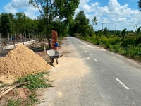 Trang trại 2MT đường nhựa Tam Tân xã Thái Mỹ, Củ Chi Trang trại 2MT đường nhựa Tam Tân xã Thái Mỹ, Củ Chi