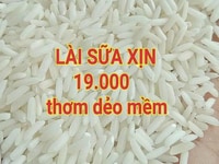 Gạo thơm ngon ăn gạo hương vị quê nhà! Gạo thơm ngon ăn gạo hương vị quê nhà!