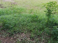 Chính chủ Bán gấp đất thổ cư ( SIÊU,SIÊU KHỦNG ) S 112m2 ,Mt 9m. Đườn Chính chủ Bán gấp đất thổ cư ( SIÊU,SIÊU KHỦNG ) S 112m2 ,Mt 9m. Đườn