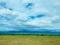 Bán 4144m2 đất bình tân 538tr gần công viên sinh thái safari 3300ha Bán 4144m2 đất bình tân 538tr gần công viên sinh thái safari 3300ha