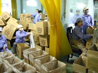 Cần tuyển 2 nam Đóng gói hàng hóa Cần tuyển 2 nam Đóng gói hàng hóa