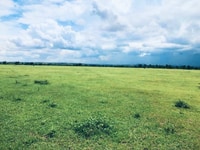 Bán lô đất 7647m2 xã Hồng Thái nằm ngay quy hoạch đường nhựa liên huyệ Bán lô đất 7647m2 xã Hồng Thái nằm ngay quy hoạch đường nhựa liên huyệ