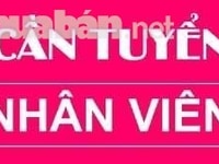 Tuyển gấp nhân viên bán hàng đi làm ngay Tuyển gấp nhân viên bán hàng đi làm ngay
