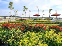 Đất Rẻ Bến Cát,nơi Đầu Tư Cam Kết Lợi Nhuận 30%/năm Giá 550 Triệu Đất Rẻ Bến Cát,nơi Đầu Tư Cam Kết Lợi Nhuận 30%/năm Giá 550 Triệu