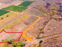 Cần bán đất sào Trung Hòa, Trảng Bom, 1000m2, giá 900 triệu, sổ riêng Cần bán đất sào Trung Hòa, Trảng Bom, 1000m2, giá 900 triệu, sổ riêng