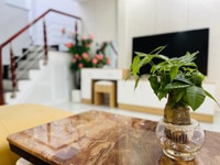 Nhà HXH Gò Vấp, Thiết Kế Sang Chảnh, 3 Tầng, Tặng Nội Thất, Giá Cực Rẻ Nhà HXH Gò Vấp, Thiết Kế Sang Chảnh, 3 Tầng, Tặng Nội Thất, Giá Cực Rẻ