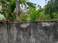 Bán nhanh lô đất 154m2 Thôn Phong Cầu - Đại Đồng giá 820tr. Bán nhanh lô đất 154m2 Thôn Phong Cầu - Đại Đồng giá 820tr.
