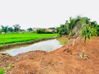💥Nhà vườn TC 1,5 sào 50*30m,hẻm Ywang,View cánh đồng lúa,gần trường P 💥Nhà vườn TC 1,5 sào 50*30m,hẻm Ywang,View cánh đồng lúa,gần trường P