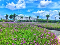 Cơ hội Mua nhà phố không lo Lãi Suất chỉ với 1 tỷ đồng Cơ hội Mua nhà phố không lo Lãi Suất chỉ với 1 tỷ đồng