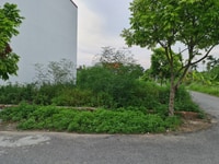 Bán lô góc 62,7m2 giá đầu tư tại Hòa Nghĩa, Dương Kinh, Hải Phòng. Bán lô góc 62,7m2 giá đầu tư tại Hòa Nghĩa, Dương Kinh, Hải Phòng.