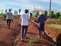 Bán đất nền dự án Huyện Phú Riềng - Bình Phước giá 500.00 Triệu Bán đất nền dự án Huyện Phú Riềng - Bình Phước giá 500.00 Triệu