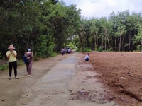 12 lô đất nền Đồng Phú, Bình Phước sổ riêng giá F0 12 lô đất nền Đồng Phú, Bình Phước sổ riêng giá F0