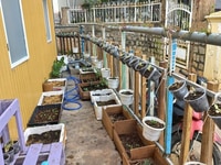 Bán gấp nhà đẹp thích hợp ở liền tại Thái Phiên, Đà Lạt giá 3.1 tỷ Bán gấp nhà đẹp thích hợp ở liền tại Thái Phiên, Đà Lạt giá 3.1 tỷ