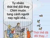 Tìm bạn nữ nhiều tuổi để kết bạn Tìm bạn nữ nhiều tuổi để kết bạn
