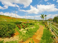 Bán đất nền 500 m2 giá rẻ ở Bảo Lộc. Bán đất nền 500 m2 giá rẻ ở Bảo Lộc.