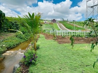 Duy nhất lô đất view đồi, suối, nghỉ dưỡng tại Bảo Lộc Duy nhất lô đất view đồi, suối, nghỉ dưỡng tại Bảo Lộc
