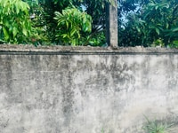 Bán lô đất 115m2 giá rẻ nhất khu vực Thuỵ Hương, Kiến Thuỵ, Hải Phòng Bán lô đất 115m2 giá rẻ nhất khu vực Thuỵ Hương, Kiến Thuỵ, Hải Phòng