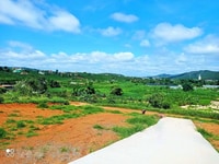 Bán đất Nam Ban, gần Thác Voi, 242m2, 659 triệu view đồi Bán đất Nam Ban, gần Thác Voi, 242m2, 659 triệu view đồi