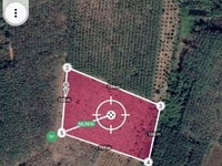 2ha đất trồng sầu riêng, bơ, cà phê giá rẻ 2ha đất trồng sầu riêng, bơ, cà phê giá rẻ
