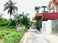 Chính chủ cần bán đất Phúc Lộc, Dương Kinh Chính chủ cần bán đất Phúc Lộc, Dương Kinh