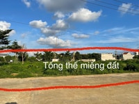 Chính chủ có nhu cầu chuyển nhượng 2 lô đất nhà vườn tại kđt Đồng Giao Chính chủ có nhu cầu chuyển nhượng 2 lô đất nhà vườn tại kđt Đồng Giao