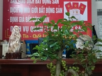 Cần bán gấp mảnh đất thôn thắng trí xã Minh Trí sóc Sơn Hà Nội Cần bán gấp mảnh đất thôn thắng trí xã Minh Trí sóc Sơn Hà Nội