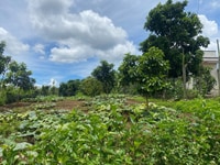 Đất vườn mặt tiền đường liên xã lộc an huyện bảo lâm Đất vườn mặt tiền đường liên xã lộc an huyện bảo lâm