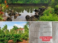 Bán siêu phẩm đất đỏ bazan, huyện Cư-Mgar, có vườn cây ăn trái, Daklak Bán siêu phẩm đất đỏ bazan, huyện Cư-Mgar, có vườn cây ăn trái, Daklak
