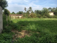 3500m2 đất ở. Giá NGỘP 13,5tr/m2. Long Phước, Q9 cũ. 3500m2 đất ở. Giá NGỘP 13,5tr/m2. Long Phước, Q9 cũ.