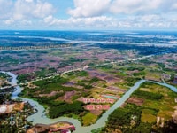 Đất mặt tiền sông lớn xã Phước Khánh Sát đường Cầu Cát Lái giá ngộp. Đất mặt tiền sông lớn xã Phước Khánh Sát đường Cầu Cát Lái giá ngộp.