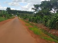 13000m2 đất mặt tiền đường nhựa tỉnh lộ 685 giá rẻ vườn cà phê 13000m2 đất mặt tiền đường nhựa tỉnh lộ 685 giá rẻ vườn cà phê