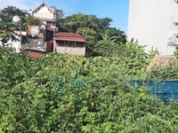 Chủ nhà cần chuyển nhượng 126m2 Qúy Kim3, Hợp Đức, Đồ Sơn, Hải Phòng Chủ nhà cần chuyển nhượng 126m2 Qúy Kim3, Hợp Đức, Đồ Sơn, Hải Phòng