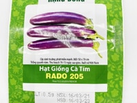 Hạt giống Cà tím dài Rạng Đông HGCRD205 Hạt giống Cà tím dài Rạng Đông HGCRD205