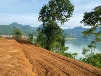 Bán lô đất 3569m2 View hồ Đá Đen hơn 100m mặt tiền hồ giáp mặt nước Bán lô đất 3569m2 View hồ Đá Đen hơn 100m mặt tiền hồ giáp mặt nước