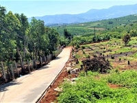 Cần bán gấp 650m2 đất nghỉ dưỡng giá rẻ Cần bán gấp 650m2 đất nghỉ dưỡng giá rẻ