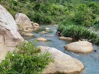 Bán 1 Sào đất Láng Lớn view suối mặt tiền đường nhựa gần chợ có 100TC Bán 1 Sào đất Láng Lớn view suối mặt tiền đường nhựa gần chợ có 100TC