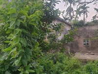 Hơn 1 tỷ 122m2 ngay sau cty may Thiên Nam , chợ HẢi Thành Dương Kinh Hơn 1 tỷ 122m2 ngay sau cty may Thiên Nam , chợ HẢi Thành Dương Kinh