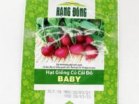 Hạt giống Củ cải đỏ baby Rạng Đông HGRDBB Hạt giống Củ cải đỏ baby Rạng Đông HGRDBB
