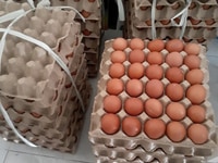Vựa sỉ trứng gà , vịt Tp HCM gí rẻ Vựa sỉ trứng gà , vịt Tp HCM gí rẻ